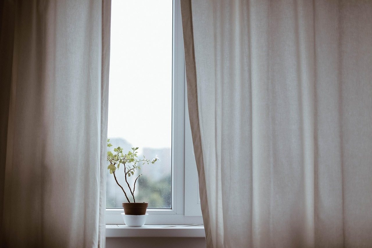Sunlit window of the Fernwood studio filled with leafy houseplants